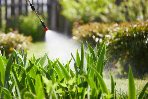 Tamper-Resistant Bait Stations for Rodents in Mexico